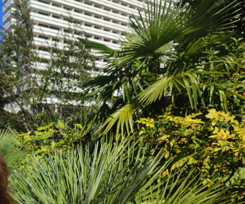 Поездки на отдых начали дорожать сильнее продуктов в Волгоградской области