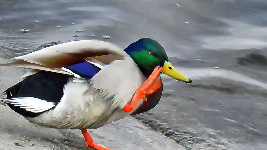 +20  не предел для первой декады октября: неожиданная погодная повестка для Камышина