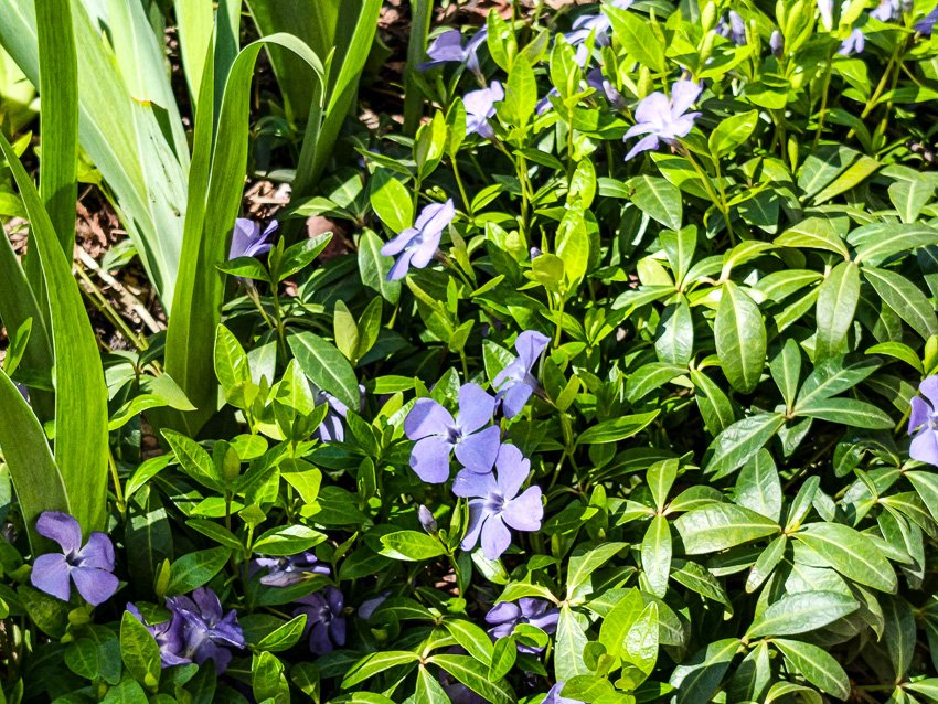 В Камышине погода взяла курс на похолодание: почти до нуля!