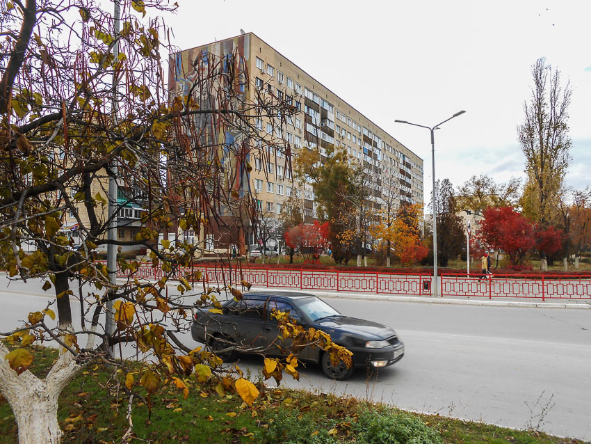 Ещё раз спасибо парню, я даже имя не спросила, но номер запомнила, - камышанка