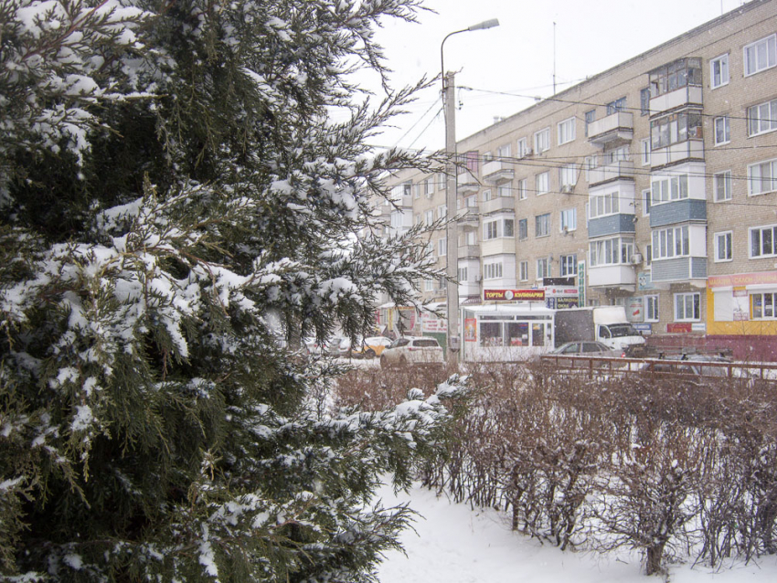 Снежное воскресенье 19 февраля пришло в Камышин
