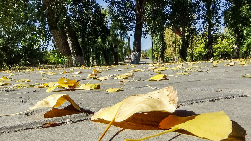 Дождь и ночные +4: погода в Камышине 16 октября