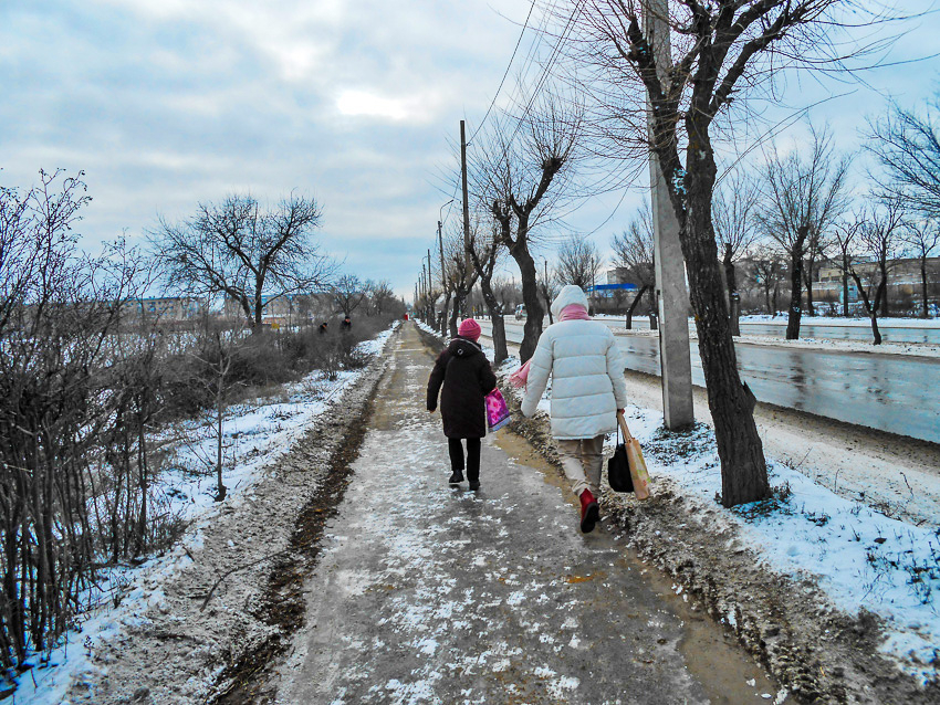 Новогодние выплаты обещают камышанам мошенники