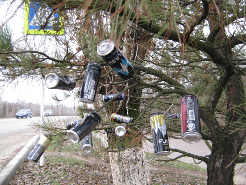 Какое бескультурье - так унижать Камышин! - камышанин