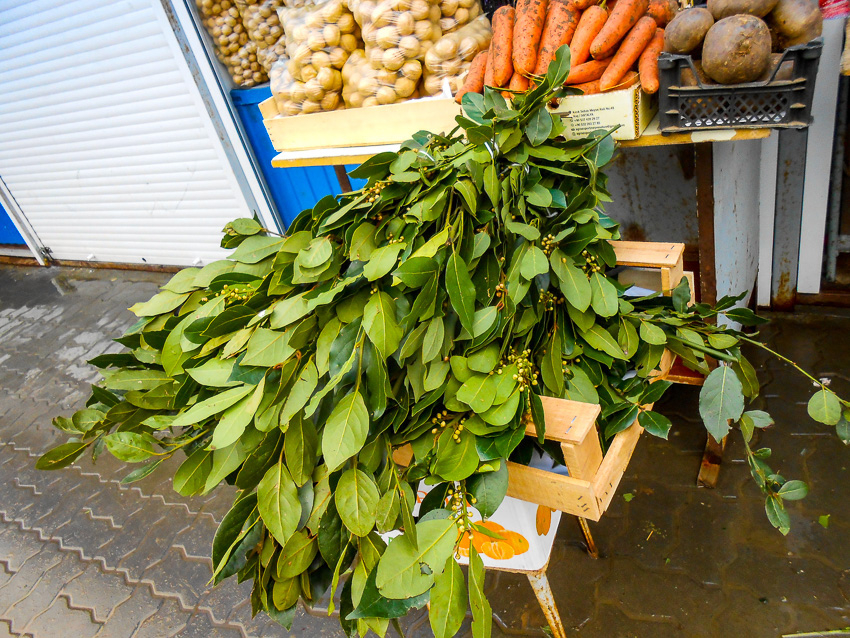 Почему камышанки раскритиковали большие букеты лаврушки на рынках
