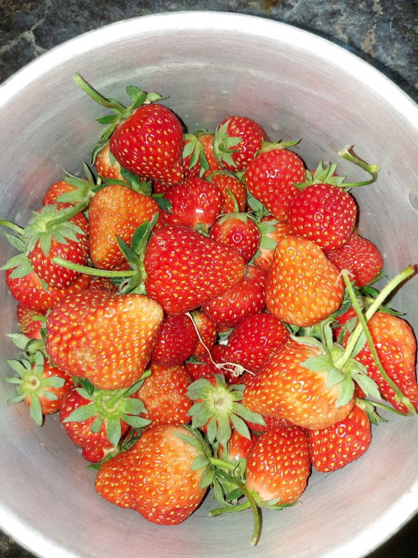 Добрая душа Ирина набрала миску первой клубники и решила подарить ее чьим-нибудь детям в Камышине