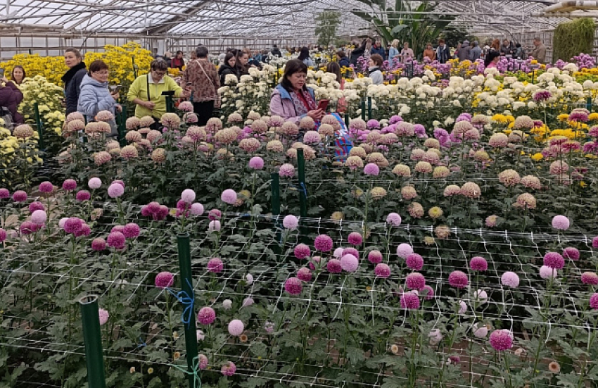 Рекордные 43 тысячи посетителей принял волгоградский региональный ботанический сад в 2025 году
