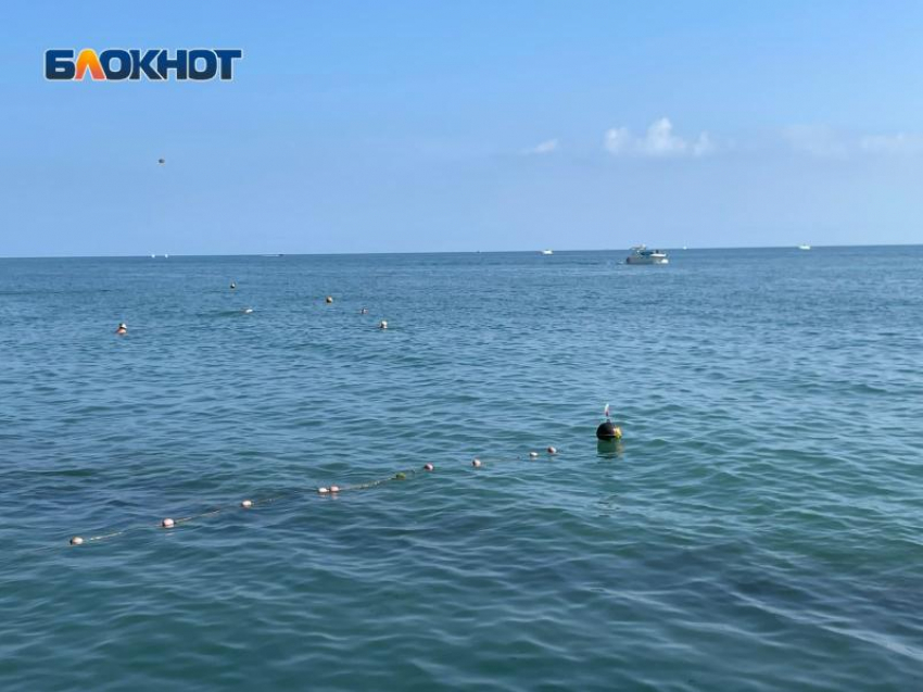 "Несостоявшийся» отпускник: в Волгоградской области мошенники провели мужчину с бронированием отеля