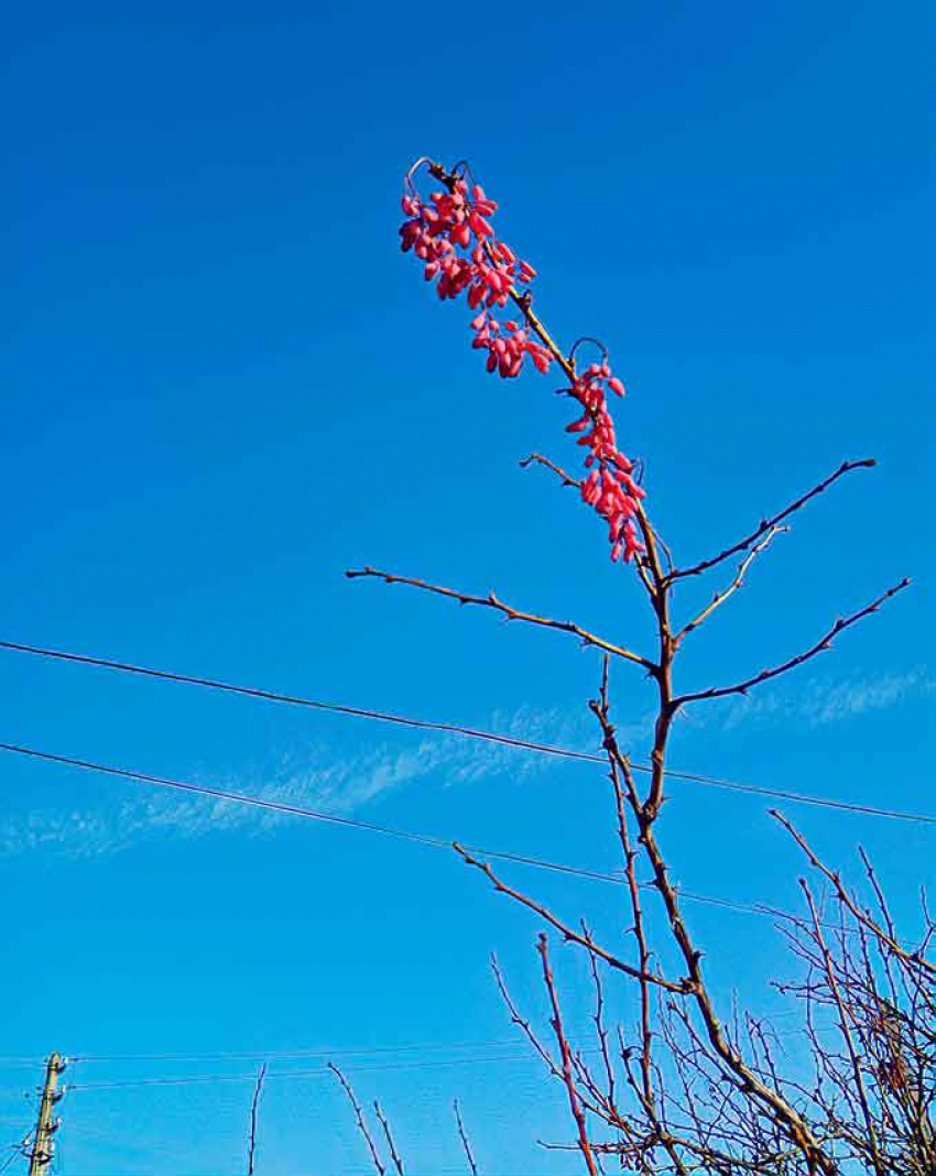 В Камышине в воскресенье днем на солнце потеплеет до -6-ти