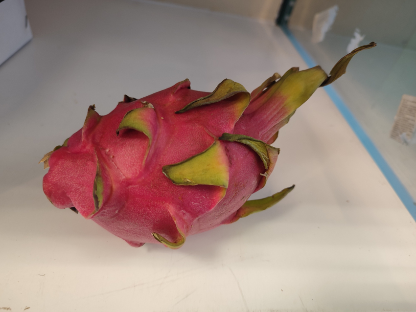 В камышинские магазины привезли столько экзотических фруктов на Новый год, что «придется доедать» их и на Рождество