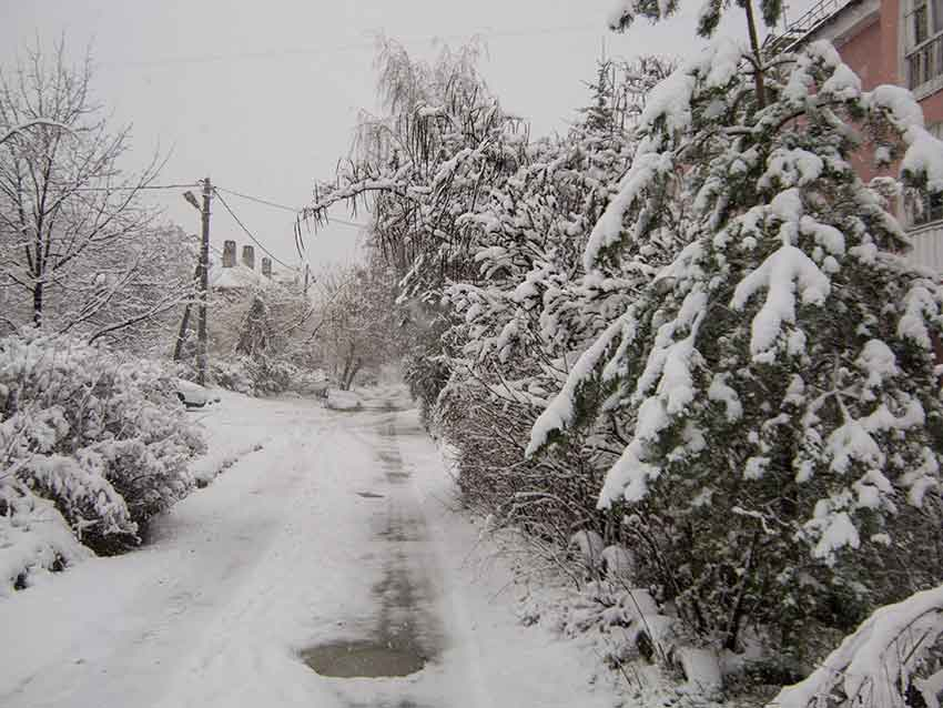 В Камышине сегодня на весь день прогнозируется снегопад