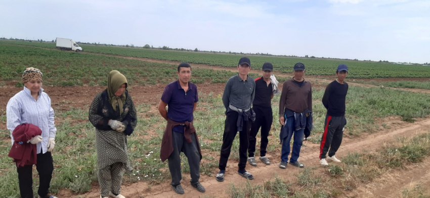 В Волгоградской области прошли широкомасштабные мероприятия по выявлению и постановке на воинский учет бывших мигрантов