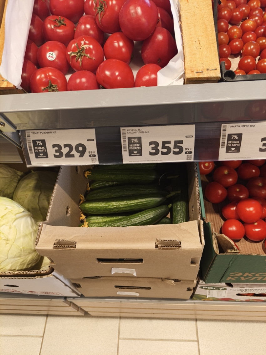 Салат со свежими огурцами становится роскошью для камышан