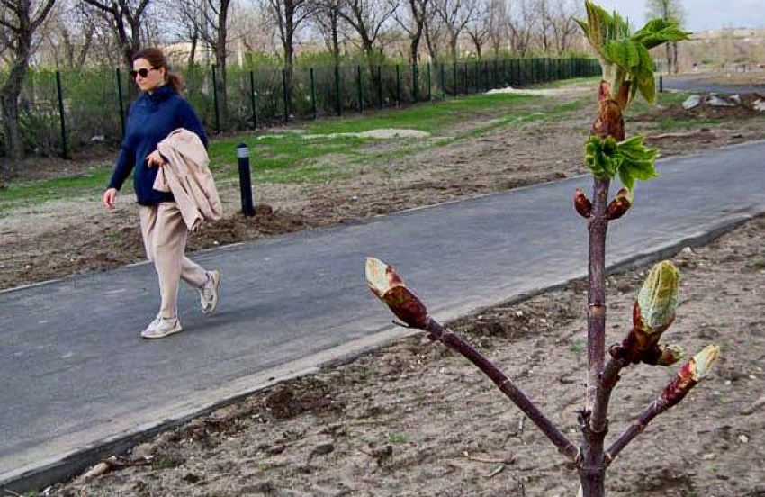 Природный парк «Щербаковский» едет в гости в Камышин: встречи у «ДК «Текстильщик» и в парке Текстильщиков 29 апреля