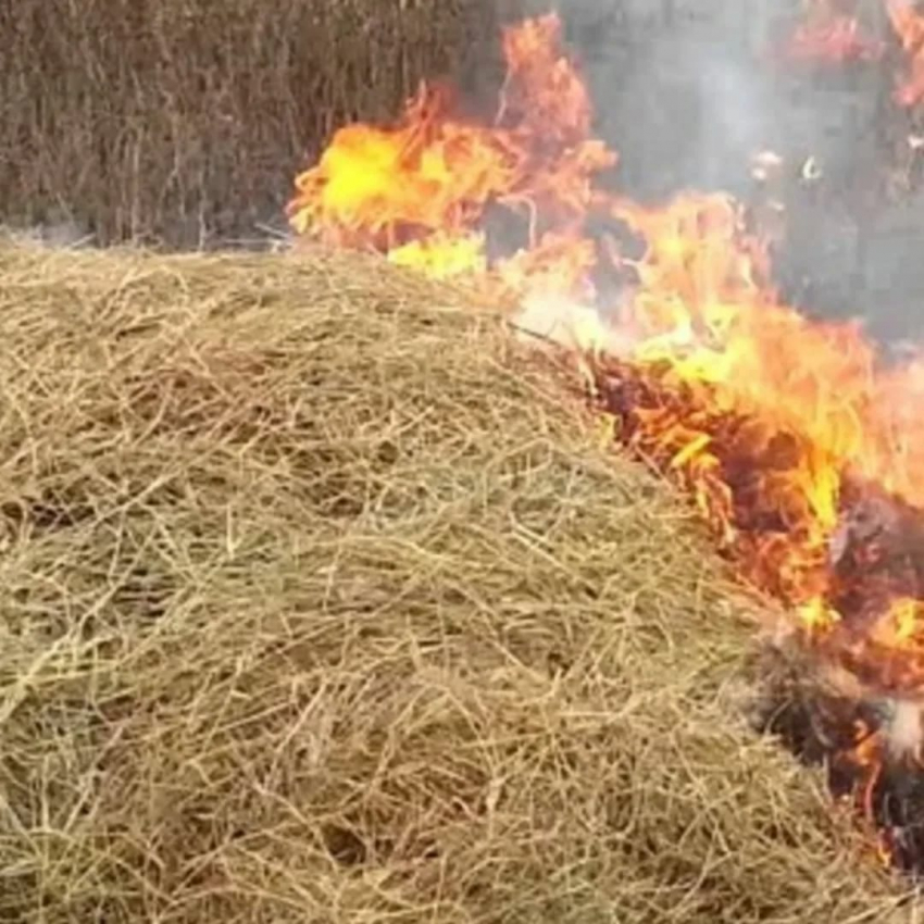 В селе Таловка Камышинского района кто-то поджег запасы сена