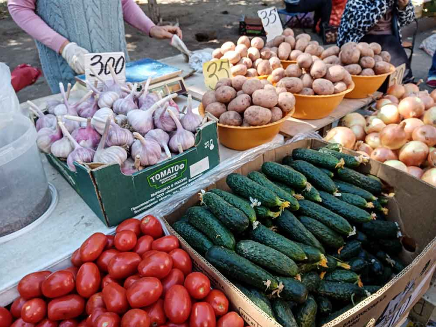 Волгоградская область похвалилась урожаем овощей - станут ли они дешевле осенью на рынках?