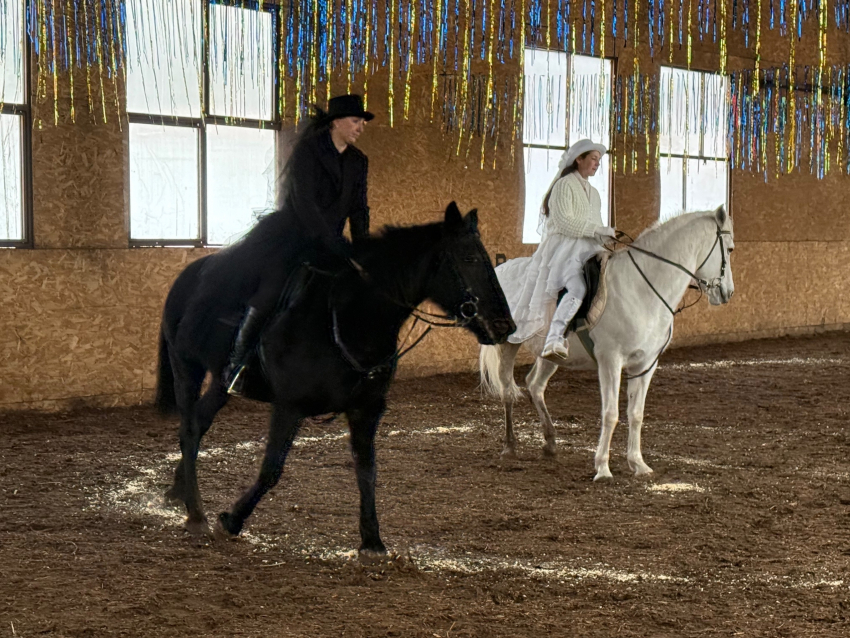 Полицейские Камышина организовали для детей удивительный праздник с показательными выступлениями по верховой езде