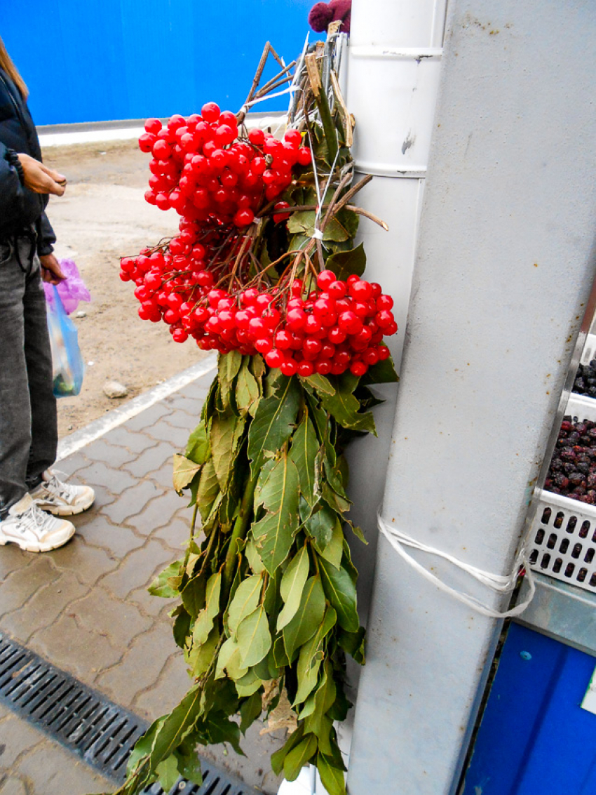 Сегодняшняя, 21 декабря, погода «около нуля» продержится в Камышине еще только три дня перед резким похолоданием до -15-ти