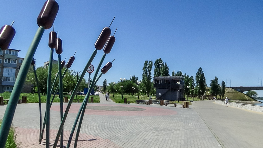 Опасную ночь пережили камышане