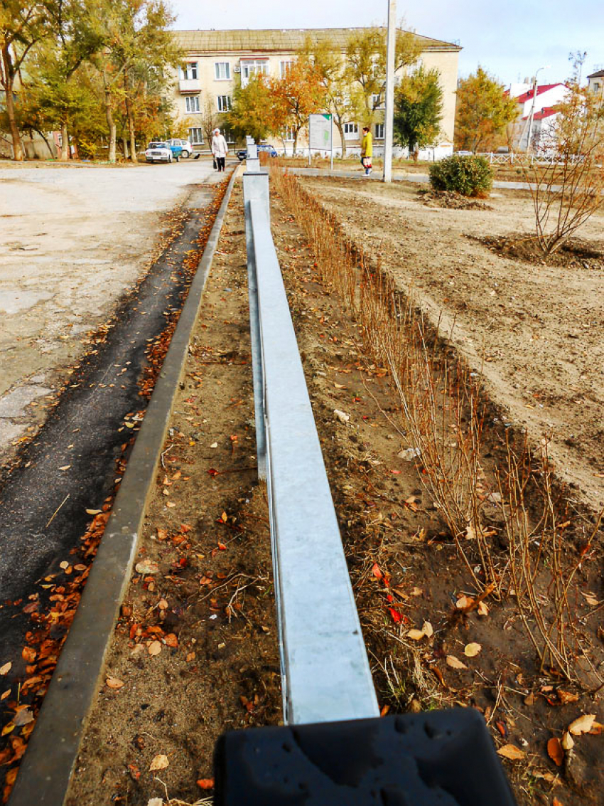 В Камышине в «затормозившей» перед сдачей зоне комфортной городской среды высадили кустарник
