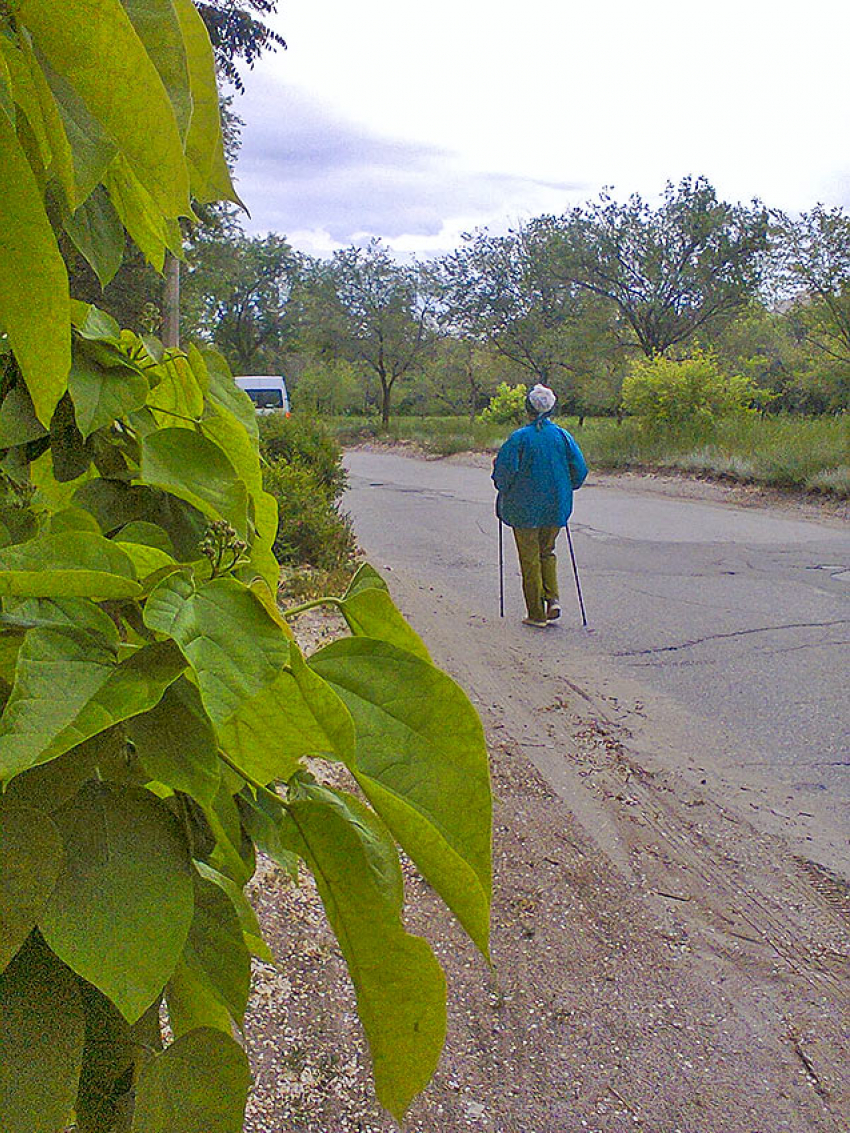 Кому из камышан повысят пенсии с 1 апреля, и на сколько