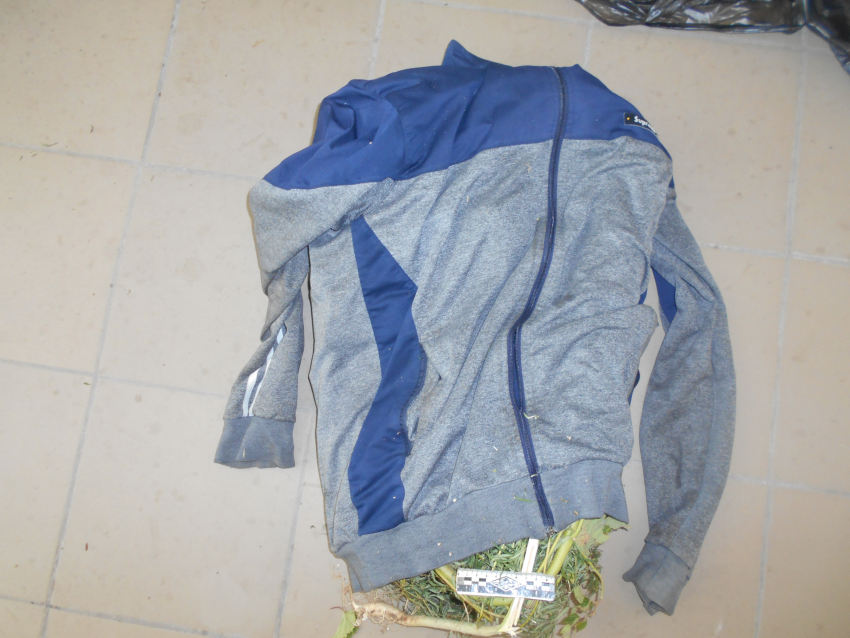 В Камышине оперативники разобрались с фигурантом, «заботливо» укутавшим в куртку почти килограмм марихуаны