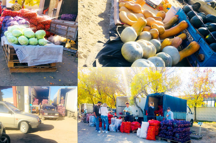 Пора запасаться к зиме: Камышине на рынке скупают все  