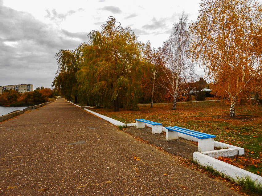 Моросящие дожди и холодные ночи: погода в Камышине на начало недели
