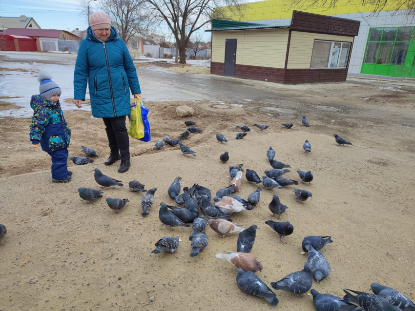Морозно и солнечно: погодная повестка в Камышине на последние дни зимы