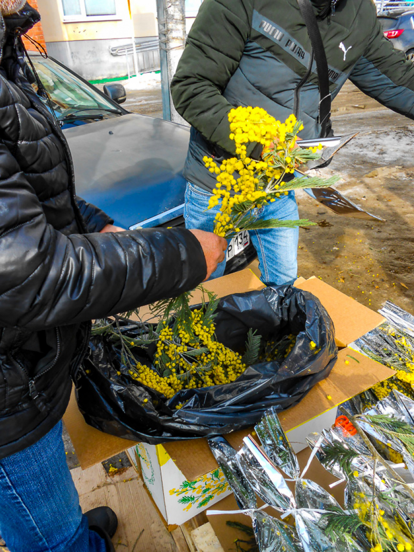 Морозы вернутся в Камышин перед 8 Марта: погодная повестка на конец недели