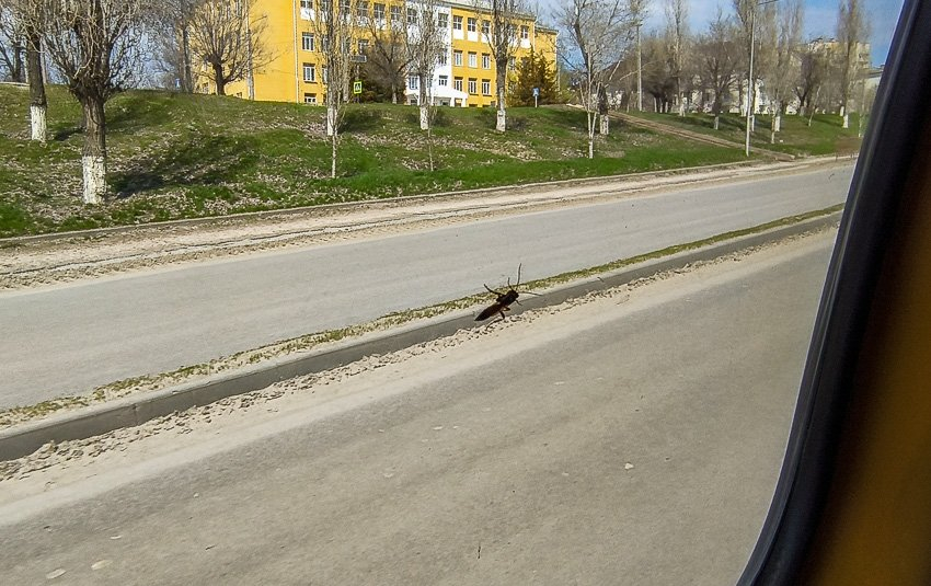 В Камышине, наконец, ученики и учителя вернулись в школу после затяжного ремонта