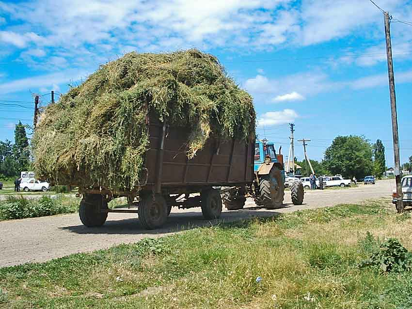 В Камышинском районе намерились заготовить 50 тысяч тонн сена
