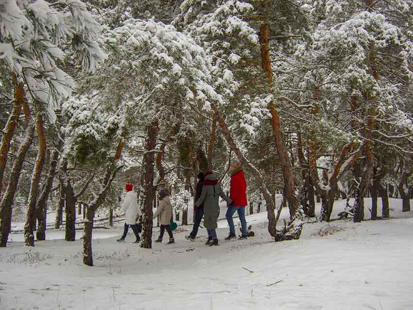 К Камышину приближаются новые снегопады