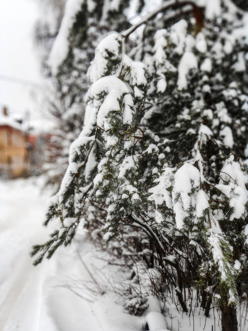 Морозы крепче 20 градусов ударили в Камышине