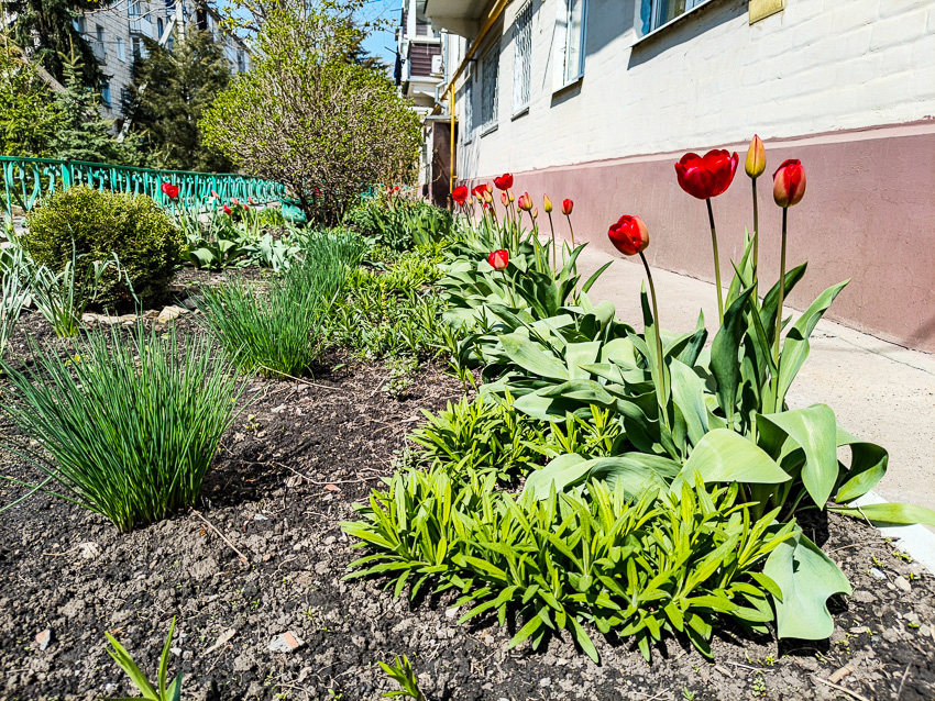 В каких домах в Камышине наметили отключить свет и воду сегодня, 21 апреля