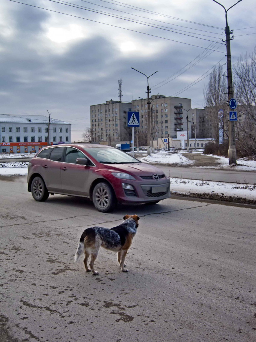 В Камышине, несмотря на праздники, решили отключить свет в высотке на улице  Ленина