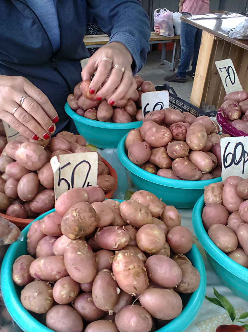 Жителей Волгоградской области предупредили о ядовитом картофеле 