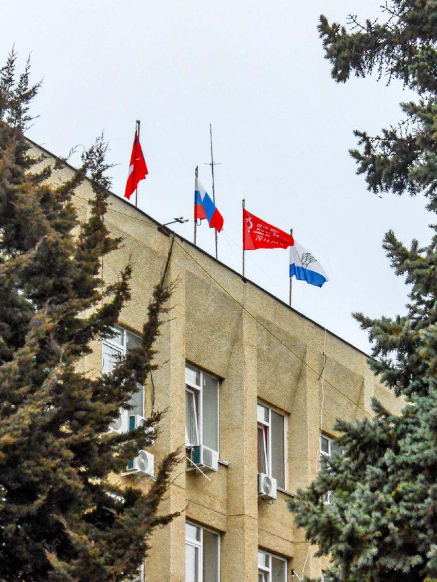 Ежегодные декларации о доходах отменили для камышинских чиновников и депутатов 