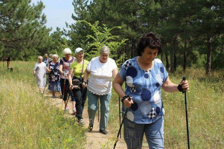 Чем занимались в камышинском лесопитомнике «бабушки в дозоре"