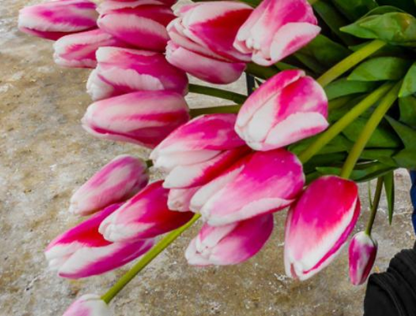 "Меня поздравили, и особо тронула фраза, сказанная с поклоном: «За сына"...