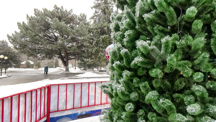 Власти Камышина рассказали, куда можно прийти в новогоднюю ночь и на новогодних каникулах