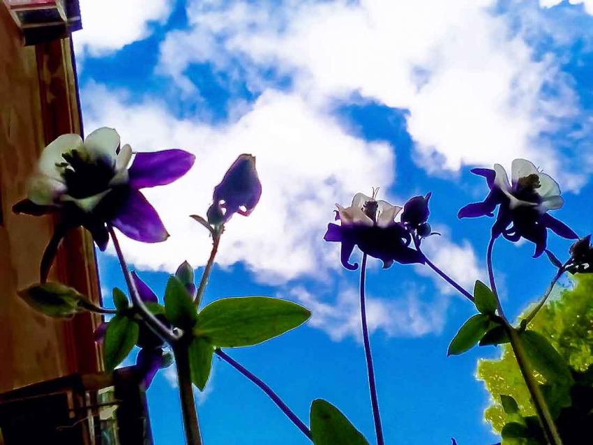 В Камышине  на время прекращаются дожди