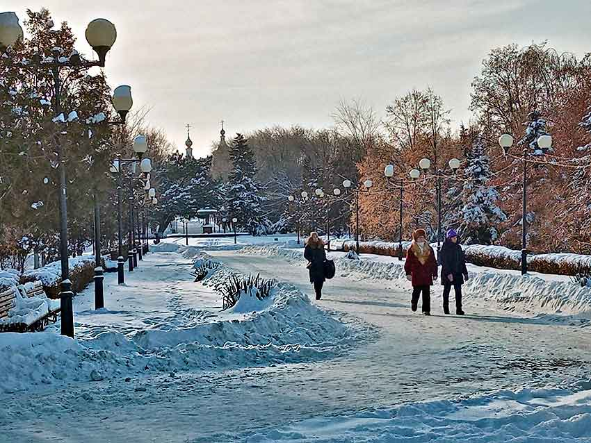 Аудиторы Камышинской КСП засекретили подробности нарушений по энергосбережению в детсадах, библиотеках и муниципальном парке