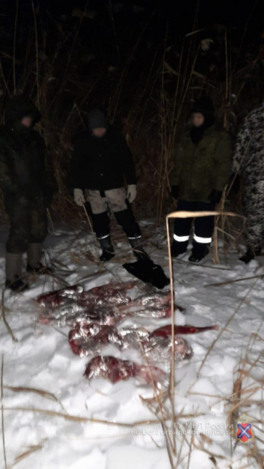 Полицейские на снегоходах отправились в погоню за браконьерами и настигли беглецов