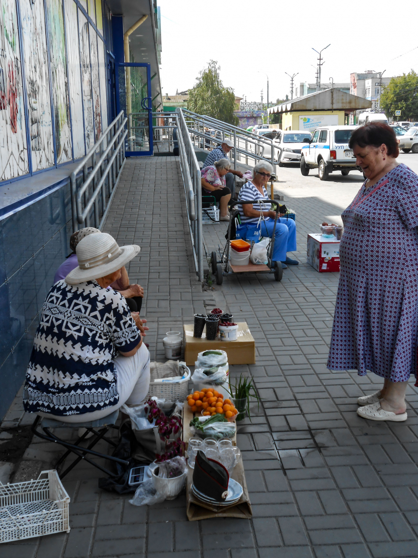 В Камышине дачники осваивают новые рынки «на земле"