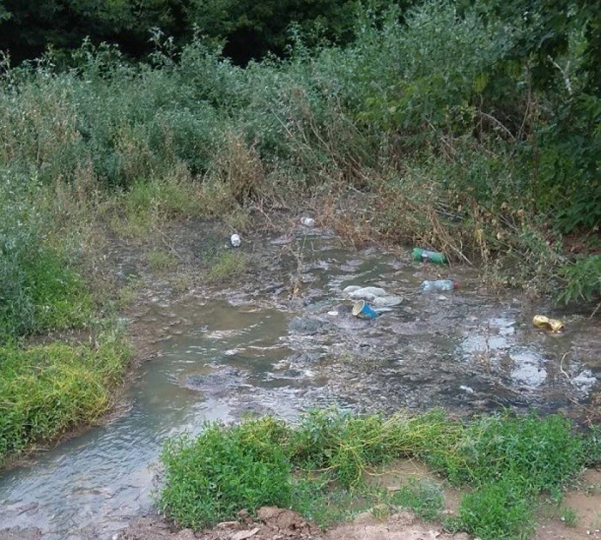 Тело мертвого крошечного ребенка обнаружено в заброшенном парке