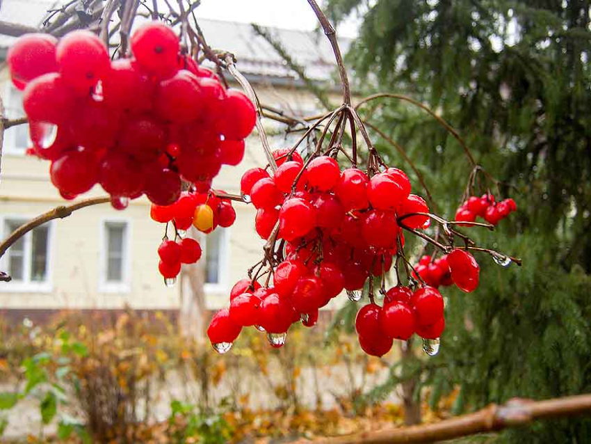 Синоптики распространили сообщение о стремительно надвигающемся на Камышин потеплении