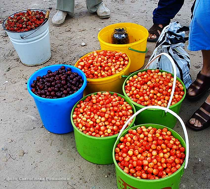 Известные российские диетологи назвали ТОП-3 «королевских» летних ягод, которыми завалены рынки Камышина