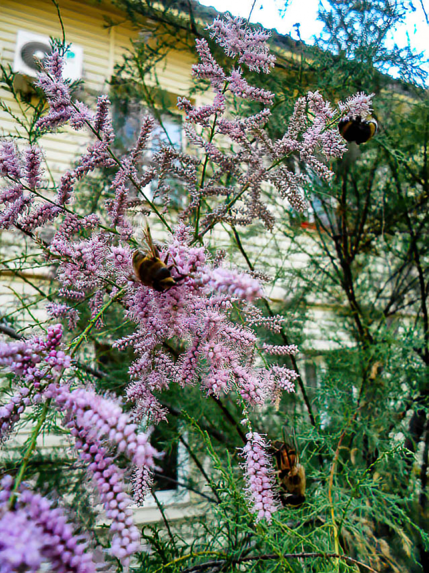 День больших отключений устроили коммунальщики в Камышине 4 августа