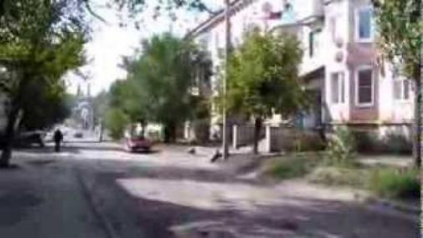 В Камышине в округе, который покинул оскандалившийся единоросс, наблюдается самая острая конкуренция перед выборами